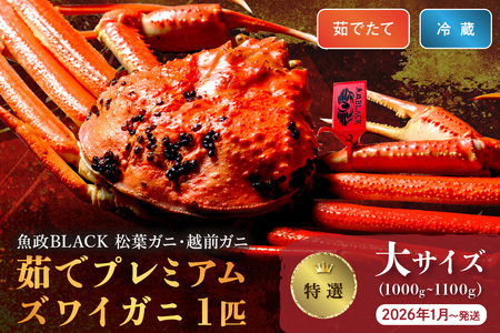 【蟹の匠 魚政】茹で プレミアムズワイガニ 魚政BLACK（松葉ガニ・越前ガニ）特撰 大サイズ（1000～1100g） 1匹 (2026年1月～発送) 蟹