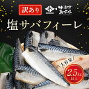 【ふるさと納税】【訳あり】木更津魚市場直送！不揃い塩サバフィーレ 2.5kg 以上 塩サバ 塩さば 塩鯖 サバ さば 鯖 訳あり 訳アリ 訳有 切身 切り身 フィーレ 冷凍 木更津市 送料無料 海鮮 家庭用 冷凍塩サバ 冷凍塩鯖 冷凍塩さば 不揃い 不ぞろい お弁当 おかず KJ011