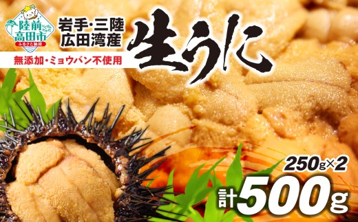 生うに 無添加 【2026年発送先行予約】ミョウバン不使用 500g（250g×2パック） 塩水パック 獲れたて直送！広田湾   高評価 【 岩手 うに ウニ ムラサキウニ  三陸産 天然 濃厚 新鮮  陸前高田 】 ※期日指定不可※ RT3050