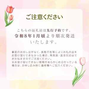 先行予約 チューリップ 30本 色お任せ 3品種 花 お花 はな ちゅーりっぷ 春 インテリア 自宅用 JA北新潟 （北越後）新潟 新発田 JA004