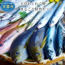 【ふるさと納税】【着日指定】 天草 わくわく便 まるごと 鮮魚 セット 1.5kg～2kg とれたて 旬の魚 巨大定置網 選べる 捌き方 鮮度抜群 鮮度 そのまま シーフード 海産物 海鮮 海の幸 冷蔵 美味しい 熊本県 天草市 チーム天草 お取り寄せ お取り寄せグルメ 送料無料