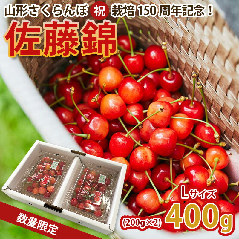 【ふるさと納税】山形さくらんぼ (祝)栽培150周年記念！佐藤錦 400g（200g×2パック） L玉 数量限定！【令和8年産先行予約】FS25-067