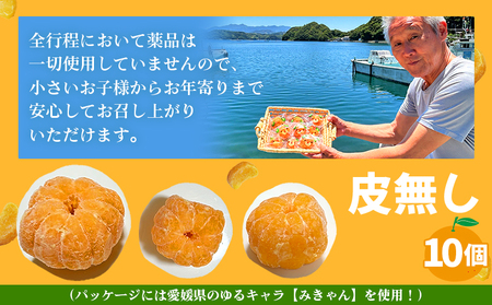 ＜【訳あり】冷凍みきゃんセット みきゃん盛り（皮無し10個）＞ ミカン 温州みかん 柑橘 果物 フルーツ デザート 詰合せ 特産品 渡江から一歩を踏み出す会 食べて応援 愛媛県 西予市【冷凍】『202