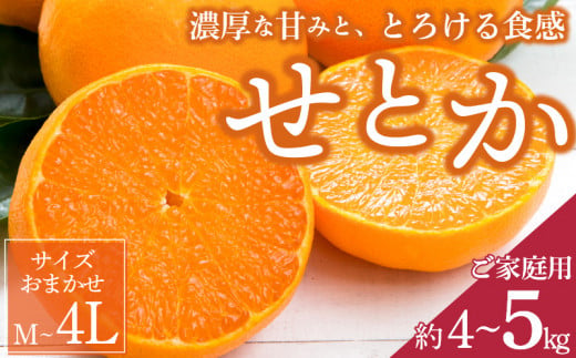 ZD7003_【2026年先行予約】一度は食べていただきたい 有田産のせとか 【訳あり 家庭用】 4kg～5kg (サイズおまかせ)