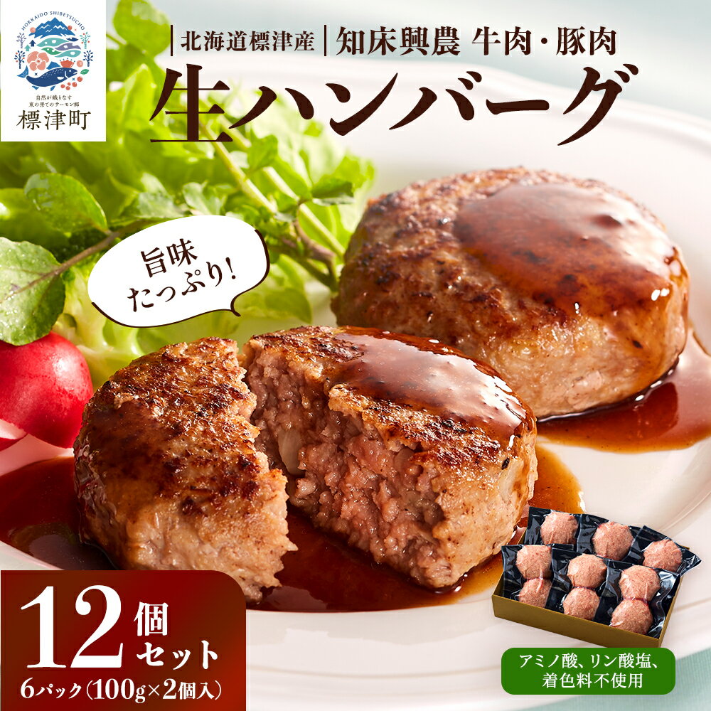 【ふるさと納税】生ハンバーグ12個セット　冷凍 国産 牛肉 豚肉 ギフト 小分け 人気 便利【配送不可地域：離島】【1088219】