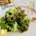 【ふるさと納税】【栽培期間中農薬不使用】フリルレタス / レッドフリルレタス / バタビアレタス 食べ比べセット（8袋入り） 新鮮レタス シャキシャキ食感 サラダ 盛り付け 塩味 朝収穫 泉佐野産 冷蔵 大阪府 泉佐野市 送料無料