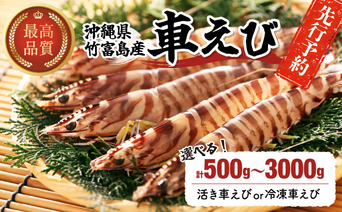 
            【先行予約 】竹富島産 車えび 500g〜3kg 【内容量が選べる！】 【 海老 車エビ エビ 車海老 500g 700g 1kg 3kg 竹富島産 冷凍 常温 】
          