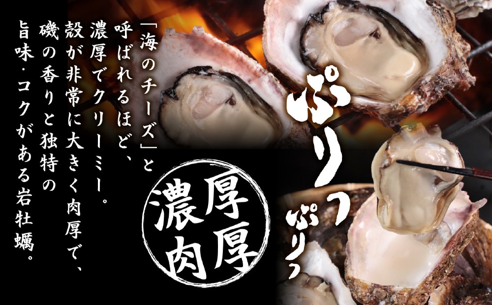 鳥羽の綺麗な海で育った大福牡蠣 岩ガキ 浦村牡蠣