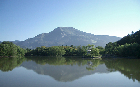 石鹸 かくとだに ハーブ石鹸 美容 せっけん 石けん スキンケア ボディソープ 洗顔 固形石鹸 ハンドソープ 消耗品 日用品 5000円