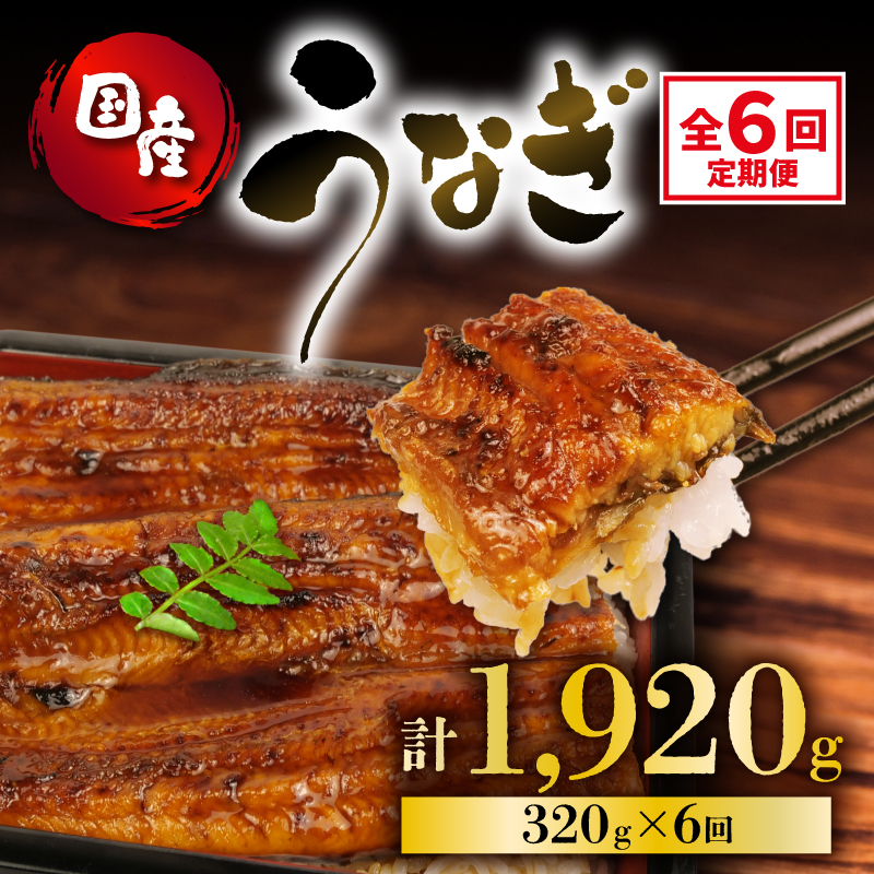 定期便 全6回 うなぎ 国産 蒲焼 160g × 2尾 計320g 鰻蒲焼 ウナギ 土用 丑の日 JAS認定 活鰻 自家製蒲焼のたれ 山椒 ギフト 贈答 冷凍 養殖 真空パック レンジ 調理 湯煎 まとめ買い 静岡県 藤枝