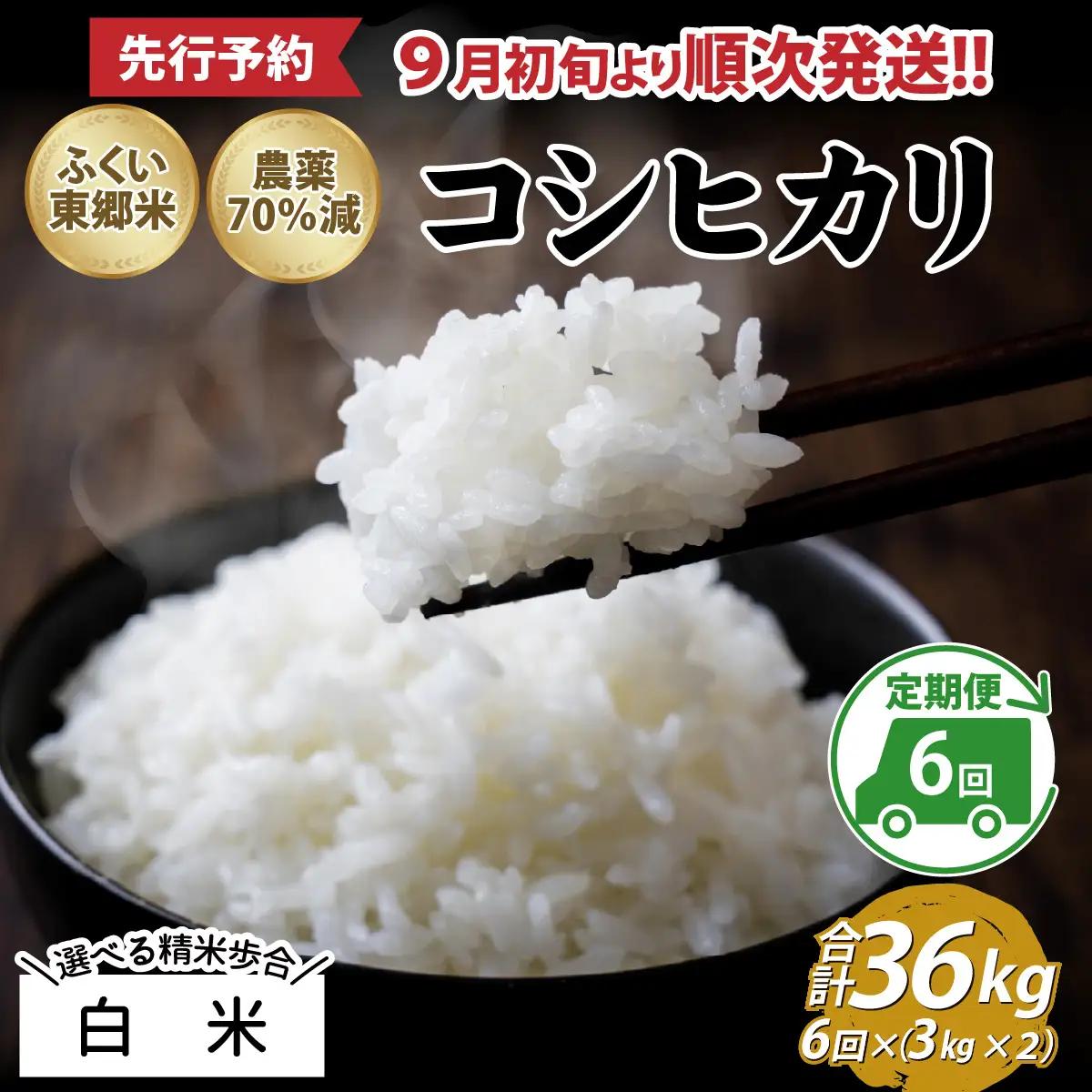 【先行予約】【白米】【定期便6ヶ月連続】令和8年産 新米 ふくい東郷米 特別栽培米 農薬70％減 コシヒカリ 6kg(3kg×2袋)×6ヶ月 合計36kg[J-020023_01]