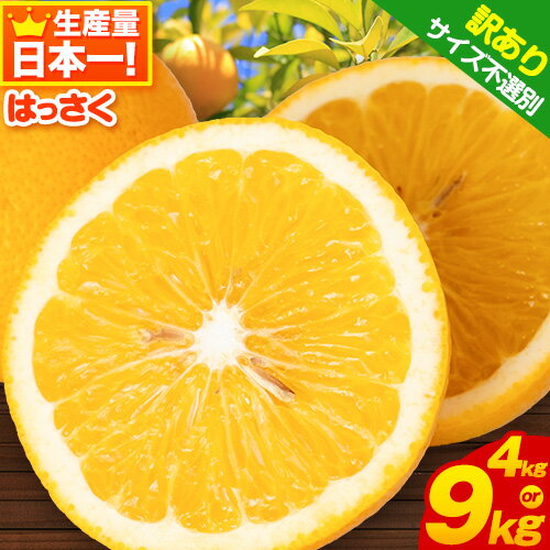 【ふるさと納税】訳あり/ご家庭用 紀の川市産 はっさく 約4kg 約9kg (4L~Sサイズ サイズ不選別) 早生・晩生指定不可《2月上旬-3月中旬に出荷予定(土日祝除く)》和歌山県 紀の川市 産地直送 みかん 八朔 柑橘 果物 フルーツ ご家庭用 ビタミンC