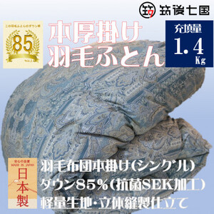 抗菌ダウン率85%1.4kg本厚掛け羽毛布団シングル(ブルー・グリーン系)訳あり【筑後七国羽毛ふとん】【1336044】