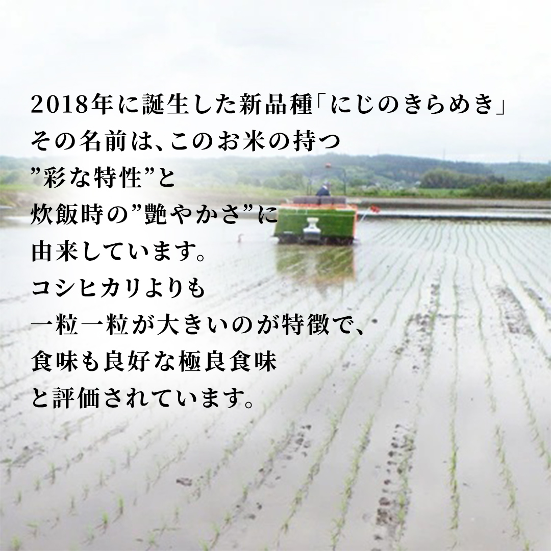 ＼最短3営業日以内出荷／ 【令和7年産】 にじのきらめき 15kg (5kg×3袋) 精白米 スピード出荷 最短3～7営業日出荷 産地直送 茨城県 城里町 新米 精白米 米 ご飯 米 白米 精米 単一