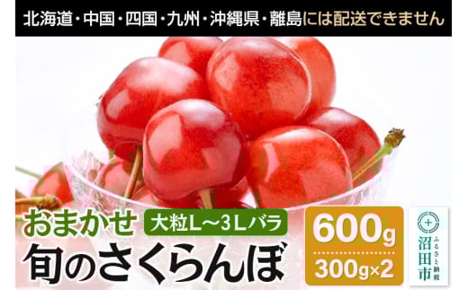 《一部地域限定発送》《6月中旬～下旬発送》おまかせ 旬のさくらんぼ 大粒L～3Lバラ詰め 600g（300g×2）