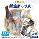 【ふるさと納税】【下処理済】【冷凍】 五島列島 鮮魚ボックス 5種 【ShiningFoods】 [RBR002]