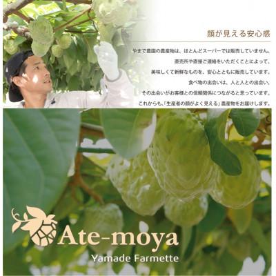 ふるさと納税 南伊勢町 伊勢志摩産 アテモヤ 中玉 3〜4個入 約1.2kg 令和8年12月発送 南伊勢ブランド認定フルーツ |  | 01