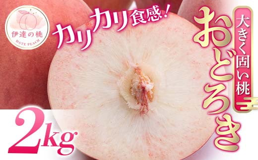 福島県産 おどろき 約2kg 2025年8月上旬～2025年8月中旬発送 2025年出荷分 先行予約 予約 固め 固い 伊達の桃 桃 もも モモ 果物 くだもの フルーツ 国産 食品 F20C-496