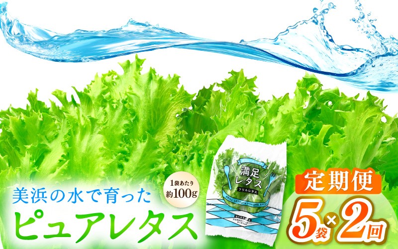 
                  定期便 ≪2ヶ月連続お届け≫ 美浜の水で育ったピュアレタス　フリルレタス 5袋【栽培期間中 農薬不使用 野菜 生野菜 レタス グリーンリーフ サラダ サンドイッチ お弁当 水耕栽培 洗わず食べられる 時短 付け合わせ ダイエット ヘルシー】[m40-a032]
                