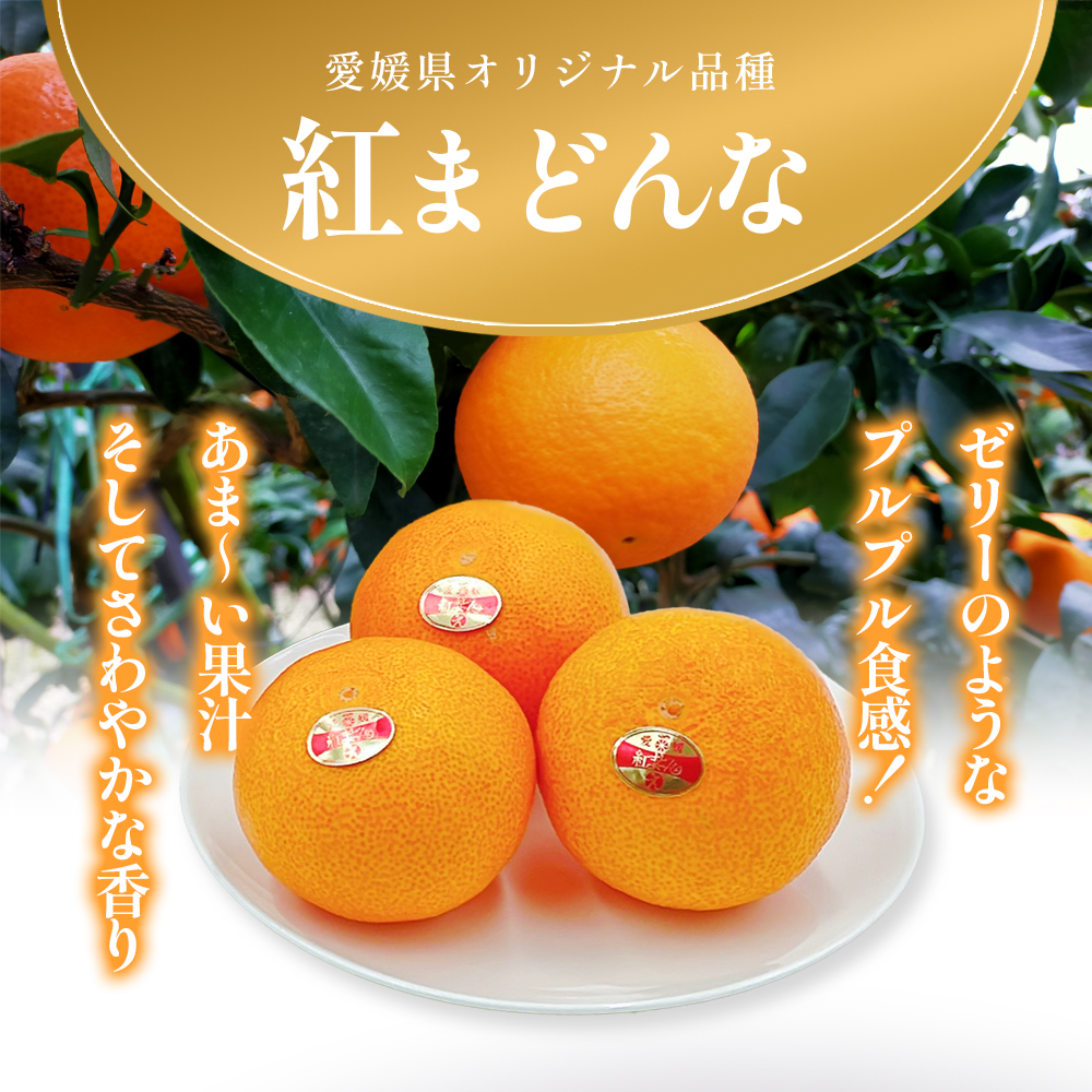 【箱数限定！申込12月7日まで】紅まどんな　1箱（5～6個入り）11月下旬から順次発送 ＜期間限定 数量限定 ミカン みかん 柑橘 高級品 正規品 紅マドンナ フルーツ 果物 スイーツ おやつ 愛媛県