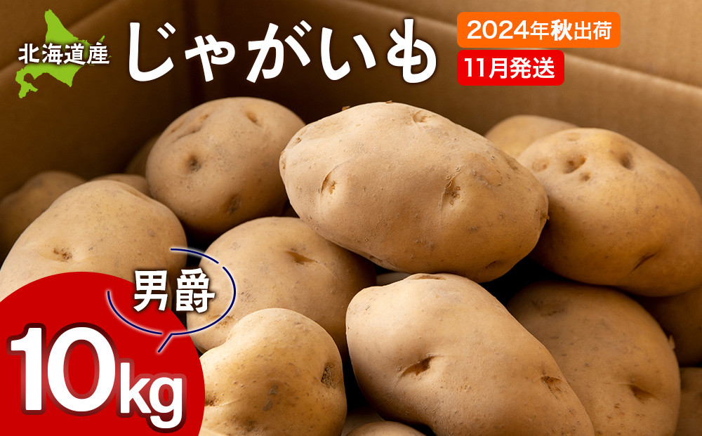 
【北海道黒松内産】2024年秋出荷じゃがいも（男爵）10kg 農家直送（11月発送）ジャガイモ 芋 男爵いも 北海道 先行予約
