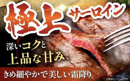 【全12回定期便】佐賀牛 サーロイン ステーキ 200g×2枚 HAA062 ステーキ 国産 和牛 佐賀牛