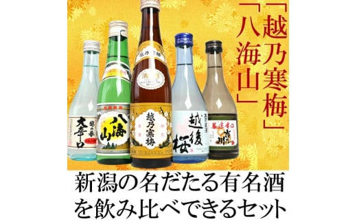 
新潟人気酒！越乃寒梅と八海山入り！ミニボトル飲み比べセット300ml×5本
