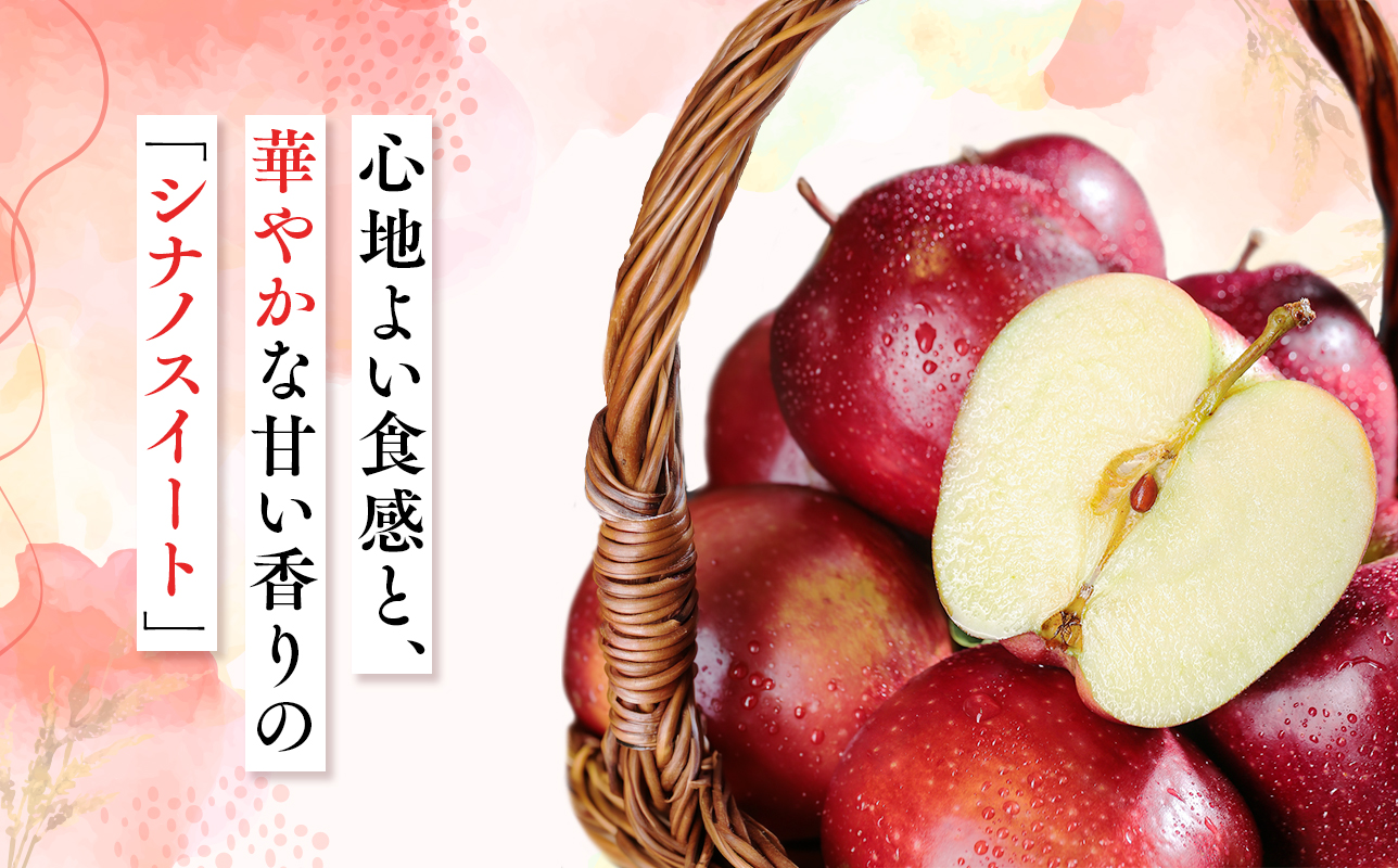 2026年10月発送　【訳あり】家庭用シナノスイート 約5kg【原田農園】 
