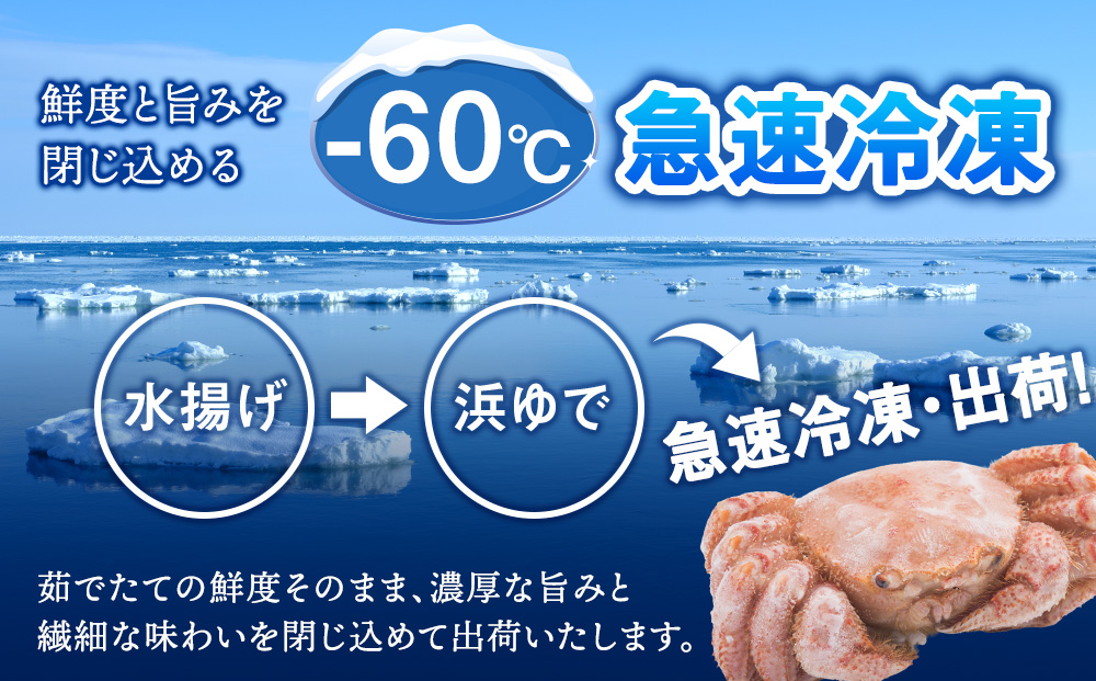 ボイル毛ガニ 800g 2尾