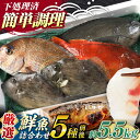 【ふるさと納税】【期間限定！】対馬産 鮮魚 詰め合わせ 5種前後 5.5kg《対馬市》【対海】新鮮 天然 直送 冷蔵 セット[WAH023] 37000 37000円