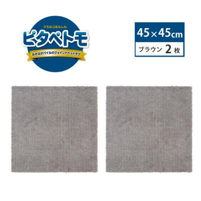 ふるさと納税 海南市 洗えるジョイントペットマット　45×45cm　ブラウン　2枚組　ピタペトモ　犬・猫用　吸着