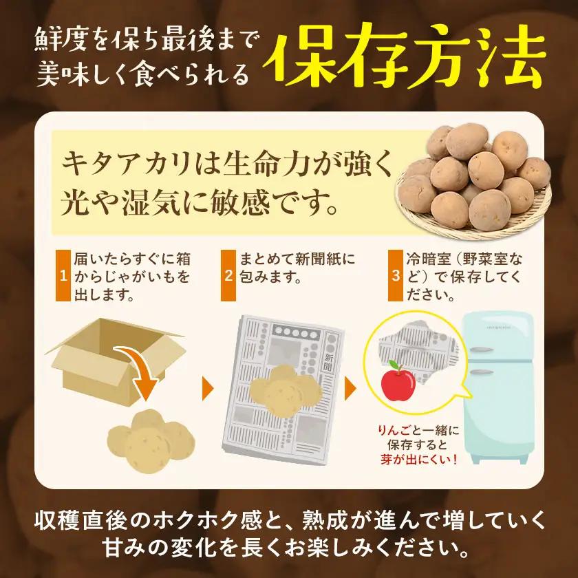 北海道産じゃがいも キタアカリ 10kg 高橋賢三 《2026年10上旬-11月上旬出荷》 