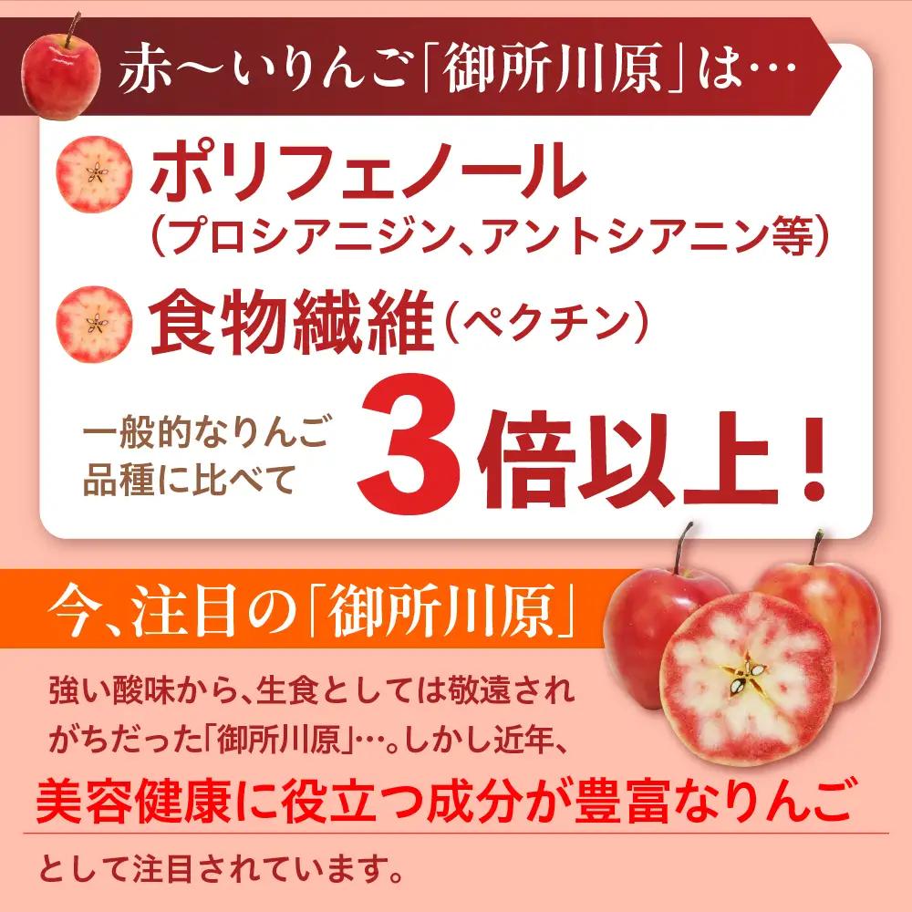 サプリ AKARIN5プロテオグリカンサプリメント 45粒 お試し 15日分 プロテオグリカン ( あおもりPG ) りんごポリフェノール りんごアントシアニン 乳酸菌 りんごの食物繊維 青森 りんご