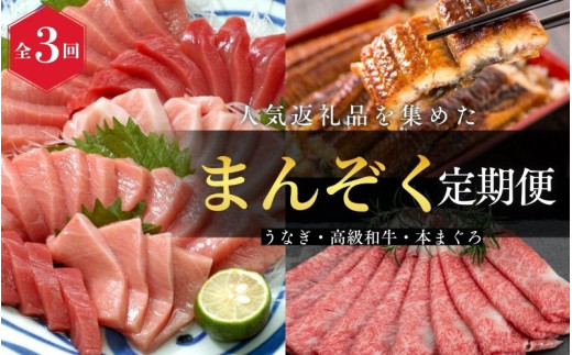 【全3回定期便】 国産うなぎ 高級和牛 本マグロ 〈人気返礼品を集めました！〉 / 鰻 ウナギ うなぎ蒲焼 うなぎの蒲焼 肉 お肉 牛肉 和牛 黒毛和牛 ブランド牛 しゃぶしゃぶ すき焼き マグロ ま