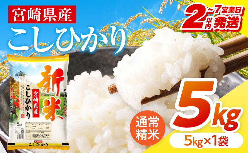 【2～7営業日以内に発送予定】《令和8年産》宮崎県産こしひかり 合計5kg(5kg×1袋) 宮崎県産 国産 国産米 こしひかり 5kg 白米 米 お米 ご飯 超早場米