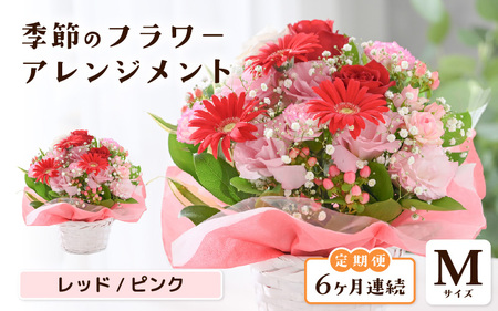 定期便 ≪6ヶ月連続お届け≫ 季節のフラワーアレンジメント M (レッド・ピンク) 花束 生花 プレゼント [G-20703_01]