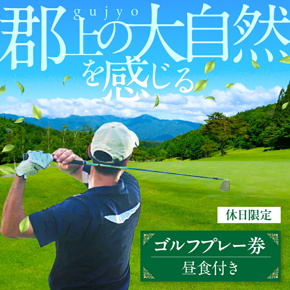 【ふるさと納税】土日祝日1Rゴルフプレー券 / カタログギフト チケット 金券 施設利用券 ゴルフ場 40000円