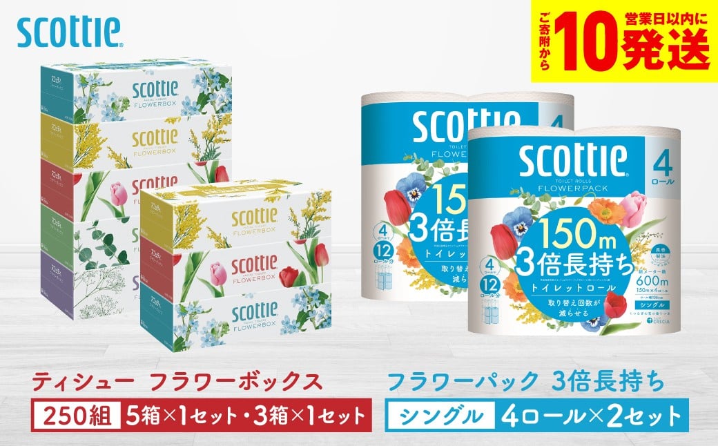 「長持ち」＆「コンパクト」になったスコッティ製品をセットにしてお届け！