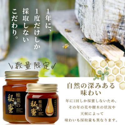 ふるさと納税 椎葉村 【秘境を味わう】椎葉の秘蜜 【50g×2本,150g×2本の計4本】国産天然はちみつ【数量限定】 |  | 01