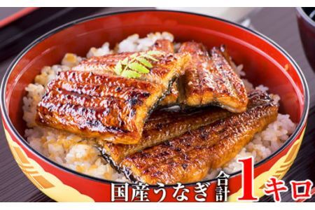 【大容量】国産うなぎ蒲焼きカット1kgセット (B59-2)