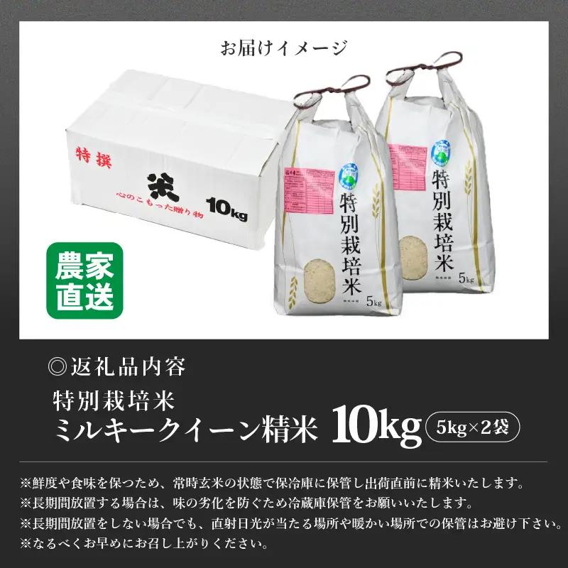 【先行予約】【令和8年産 新米】 ミルキークイーン 精米 5kg×2袋 （計10kg） 特別栽培米 農薬不使用 化学肥料不使用 ／ 高品質 鮮度抜群 福井県産 ブランド米 ※2026年10月上旬以降順
