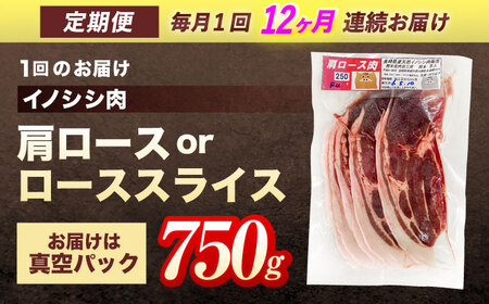 【12回定期便】天然イノシシ肉 肩ロース or ロース スライス 750g / ジビエ 猪肉 いのしし肉 ジビエ肉 肉じゃが用肉 イノシシ いのしし焼肉 長崎ジビエ 猪 ぼたん鍋 鍋肉 猪鍋 ジビエ鍋