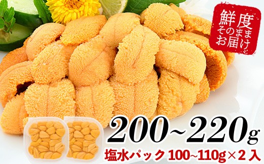 
B-81007 ムラサキウニ塩水パック100～110g×2P
