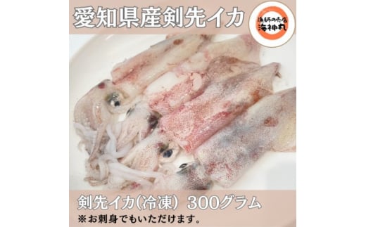 剣先イカ(アカイカ) 3袋 小分け 冷凍 刺身 ケンサキイカ ふらい にもの みなみちたちょう いか 料理 おかず 天ぷら フライ 煮物 いか 南知多剣先いか 焼きそば お好み焼き 炒め物 いか 愛知県ケンサキイカ 愛知県 てんぷら  いか いか飯 いか焼き ふるさと納税イカ いか 剣先いか南知多町 愛知県産 アカイカ南知多町 人気 おすすめ【配送不可地域：離島】