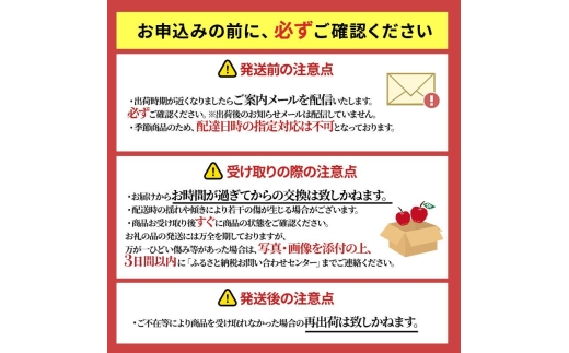 りんご 【4月クール便発送】 平均糖度13度以上 訳あり品 家庭用 CA貯蔵 王林 約 5kg 【 青森りんご 】 フルーツ リンゴ 青森県 王林りんご 家庭用 ジューシー