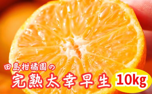 
                  田島柑橘園の完熟太幸早生10kg
                