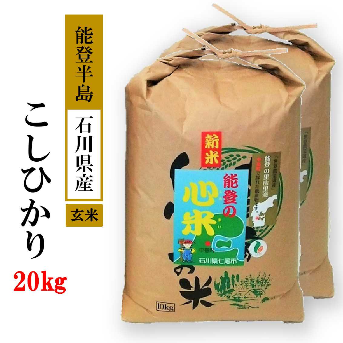 米 20kg / こしひかり 能登の心米（玄米20kg）/10kg×2袋　※2025年10月上旬頃より順次発送予定