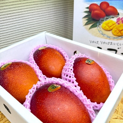 【2026年6月から順次発送・化粧箱】JAおきなわ厳選 秀品アップルマンゴー2kg(4～5玉)【配送不可地域：離島】