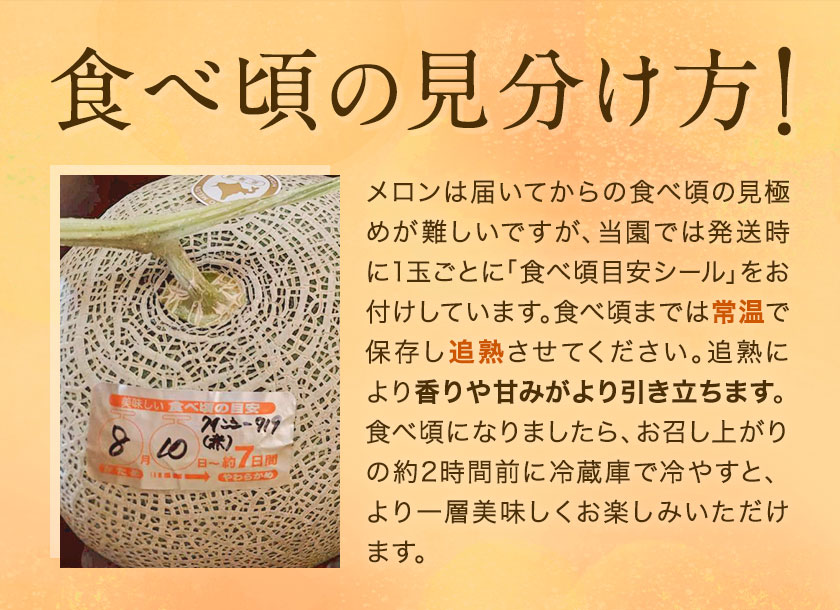 先行予約 日高メロン  2玉 のざわ農園 《7月上旬-8月中旬出荷》2026年 7月出荷 北海道 日高町産 赤肉メロン 青肉メロン 旬 果物 フルーツ めろん デザート 産地直送 お取り寄せ グルメ 