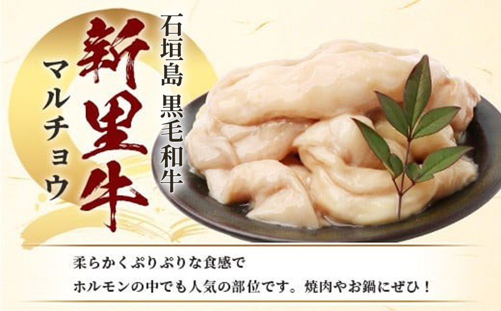 石垣島産 黒毛和牛 新里牛 マルチョウ(500g×2) 合計1kg SZ-22